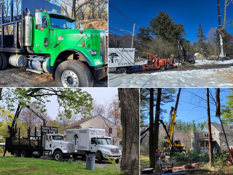 North Shore Tree Experts