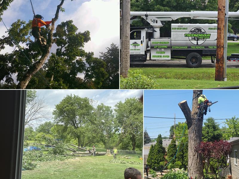 Treemendous Tree Care LLC