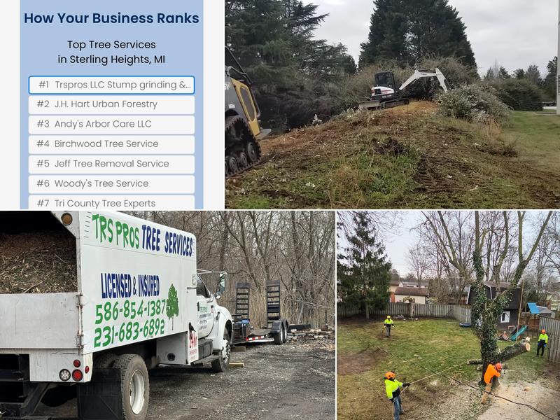 Trspros LLC Stump grinding & Tree service