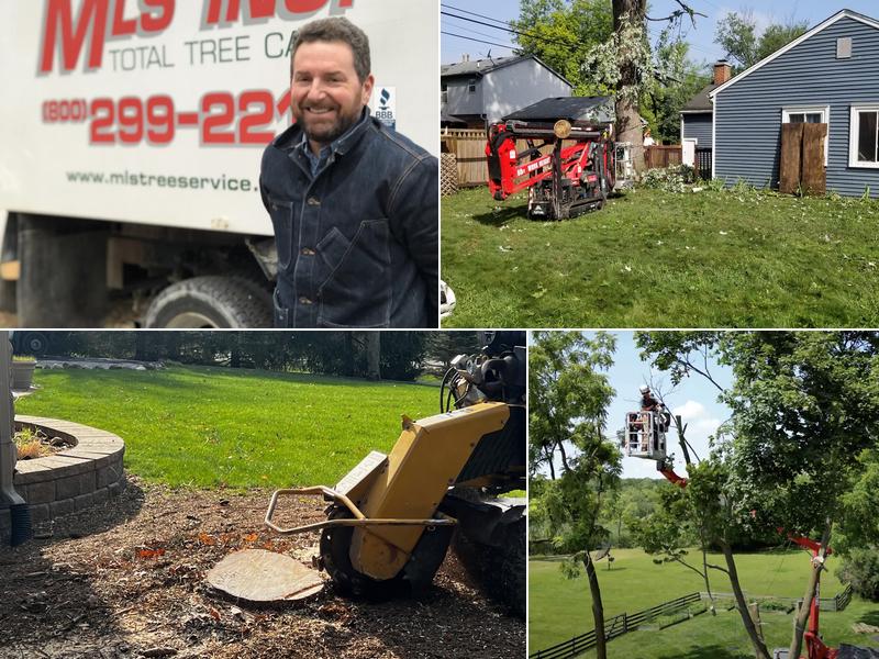MLS Tree Services