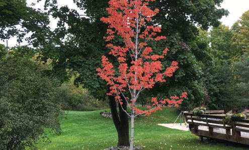 Acme Turfcare 3230 Michael Dr, Williamsburg Michigan 49690