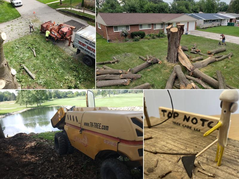 Top Notch Tree Service L.L.C.