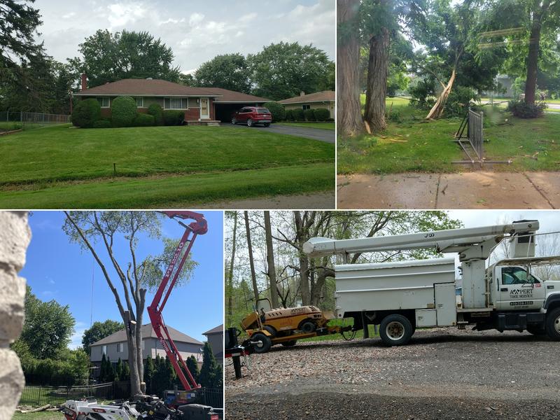 Axpert Tree Service LLC
