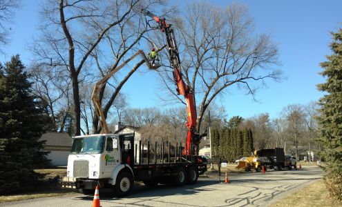 Tri City Tree Service 802 Grant Ave, Grand Haven Michigan 49417