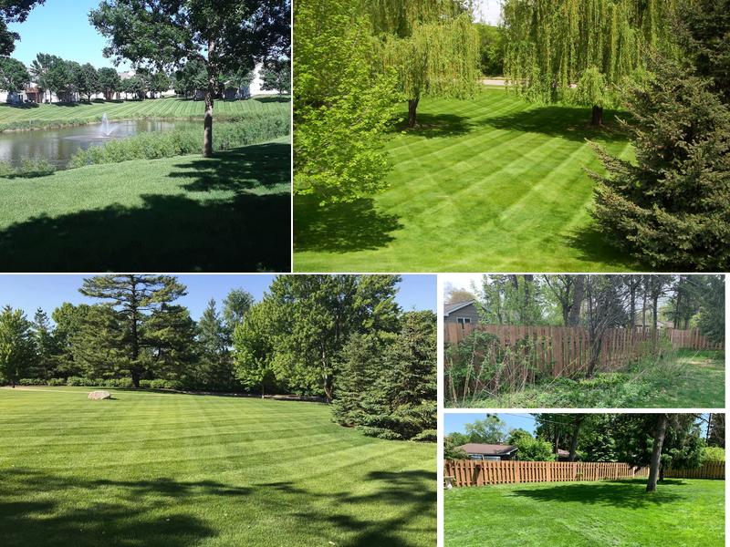 ProGreen Lawn Service