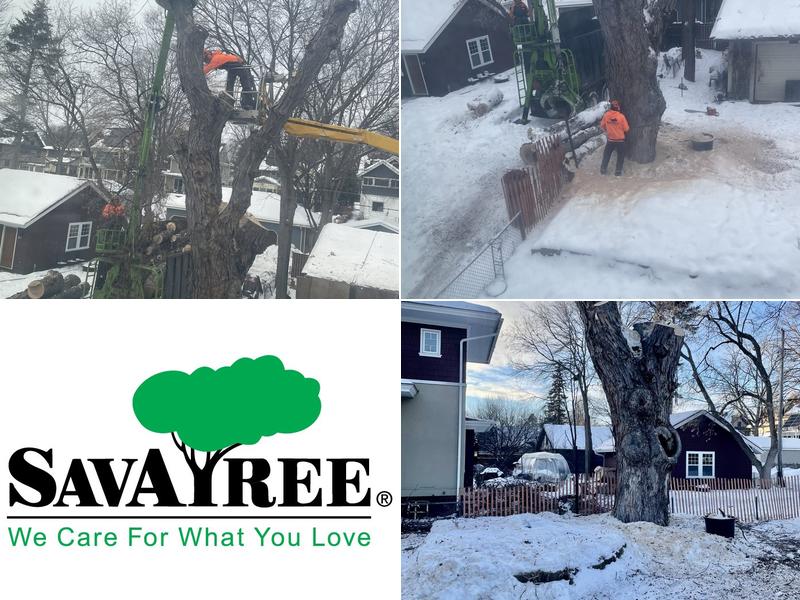 St. Croix Tree Service, Inc