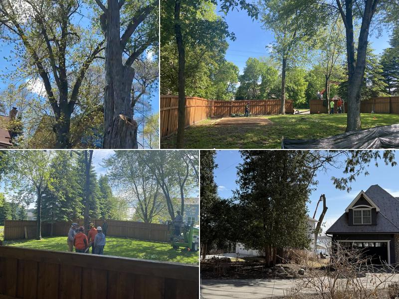 Maximum Tree Service