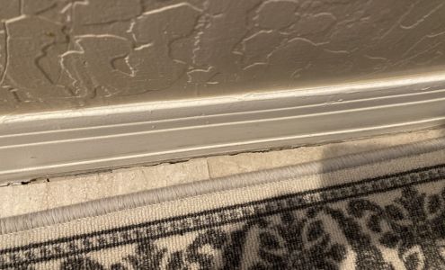 Next Step Floors Llc 1716 W 4th St, Tempe Arizona 85281