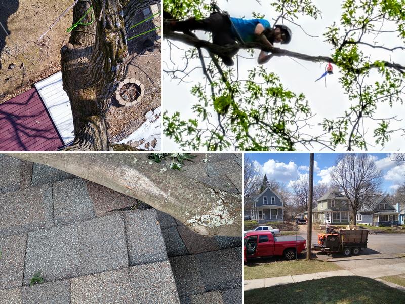 Arborsmith Tree Care