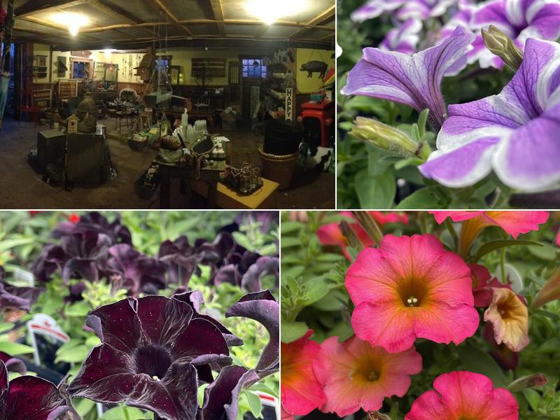 Legacy Landscaping & Irrigation Inc.