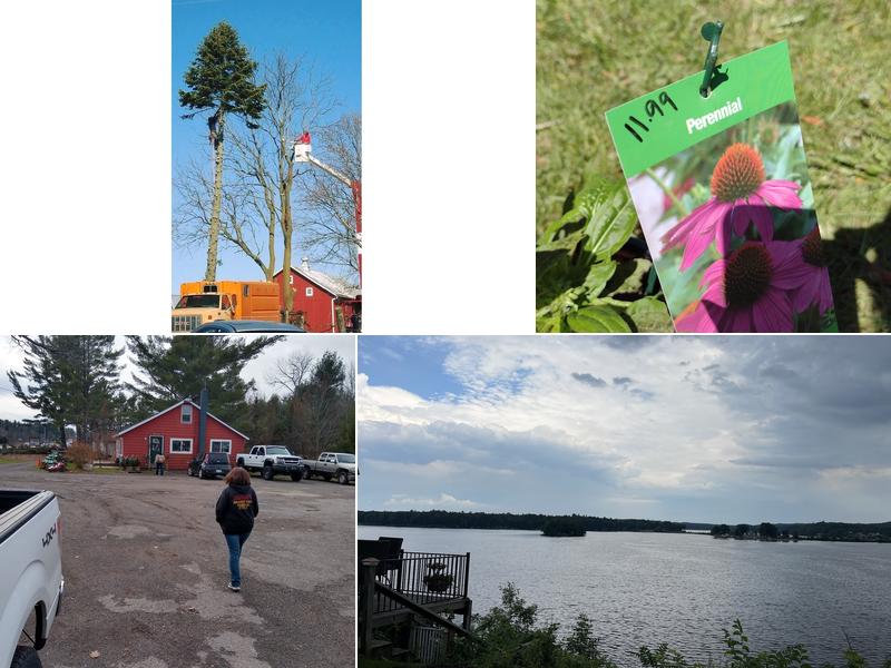 Beaver Tree Service LLC