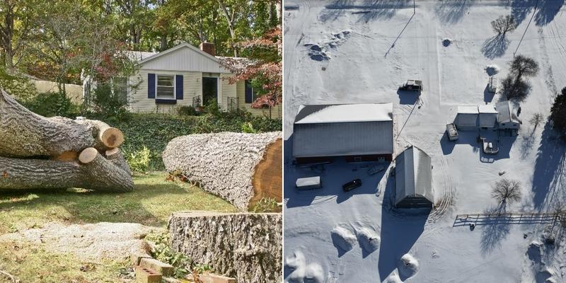 Coopersville Tree Service llc