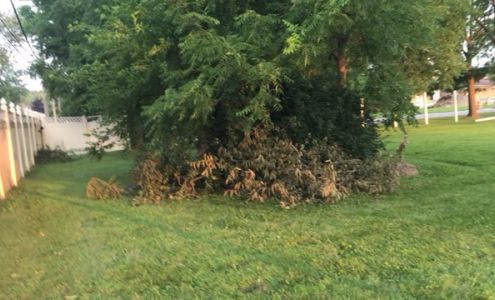 A.J.'s Lawn Care & Snow Removal