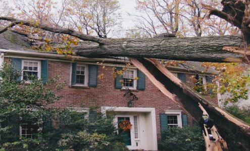 Schmiede Tree Service