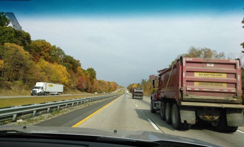 Biernacki Tree Services