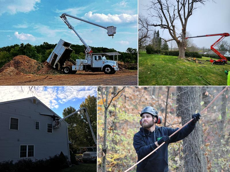 Point Pleasant Tree Service,LLC