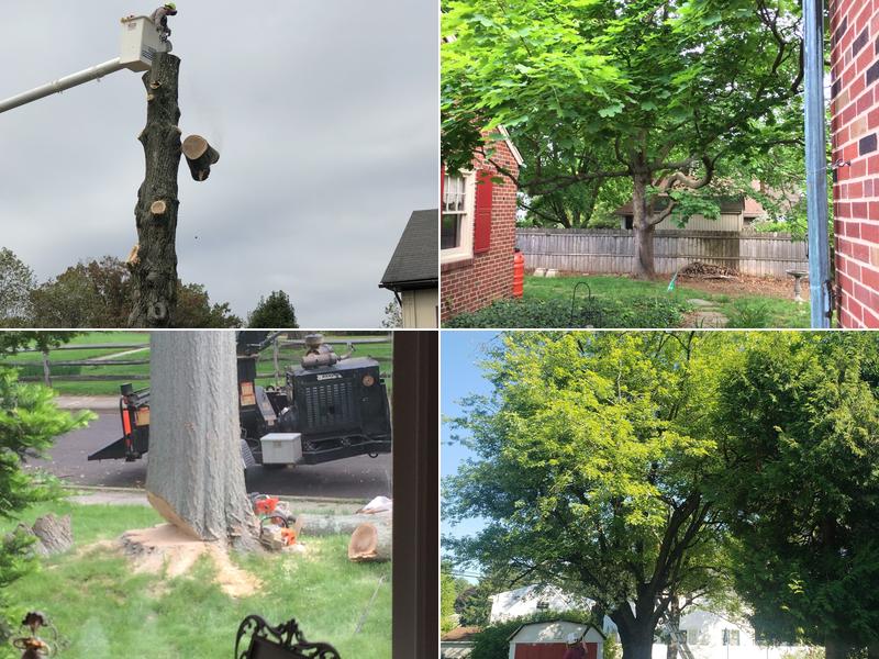 James Cherry Tree Service Inc.