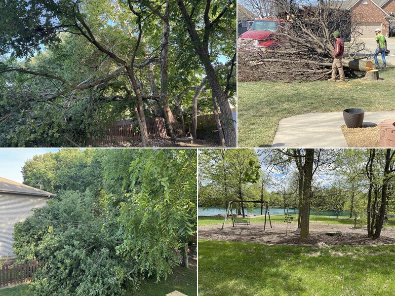 Lewis Tree Services LLC