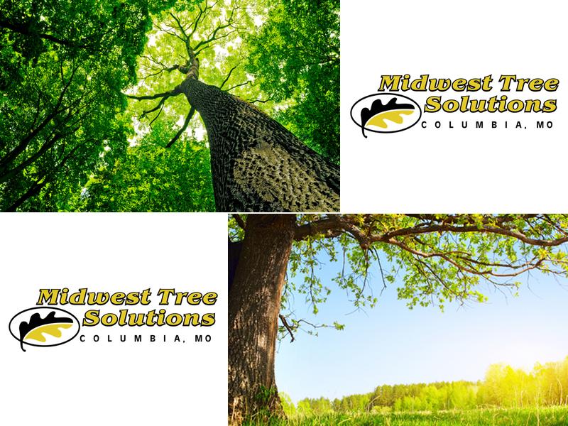 Midwest Tree Solutions