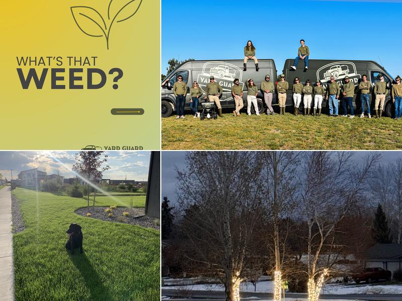 Yard Guard Lawn & Tree Care