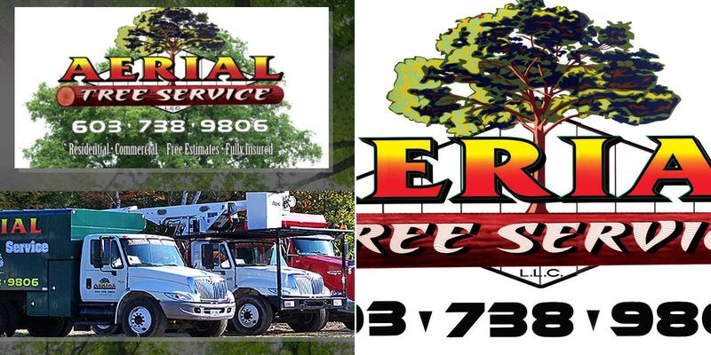 Aerial Tree Service