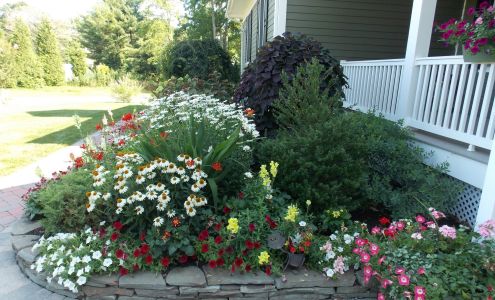 Green Touch Nursery & Landscape, LLC