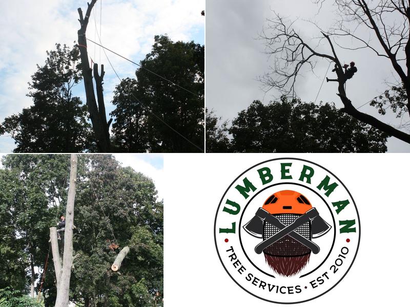 Lumberman Tree Service