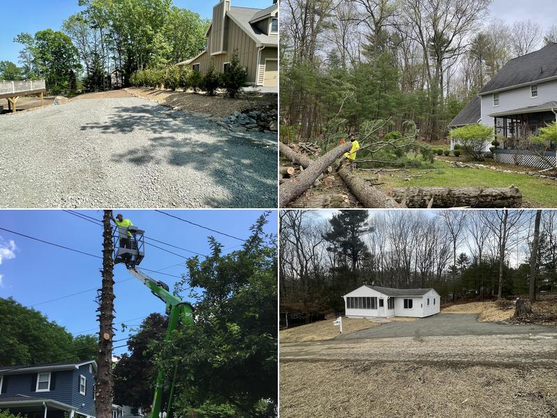 JF Property Services LLC Tree Removal