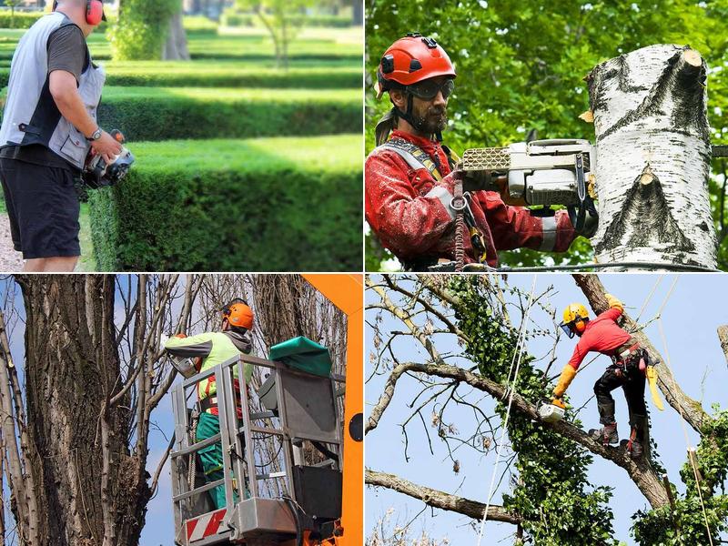 SB Tree Services Inc