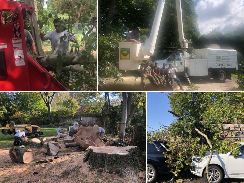 Green Valley Tree Service