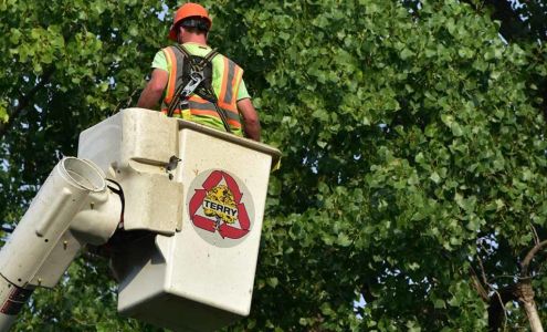 Terry Tree Service, LLC