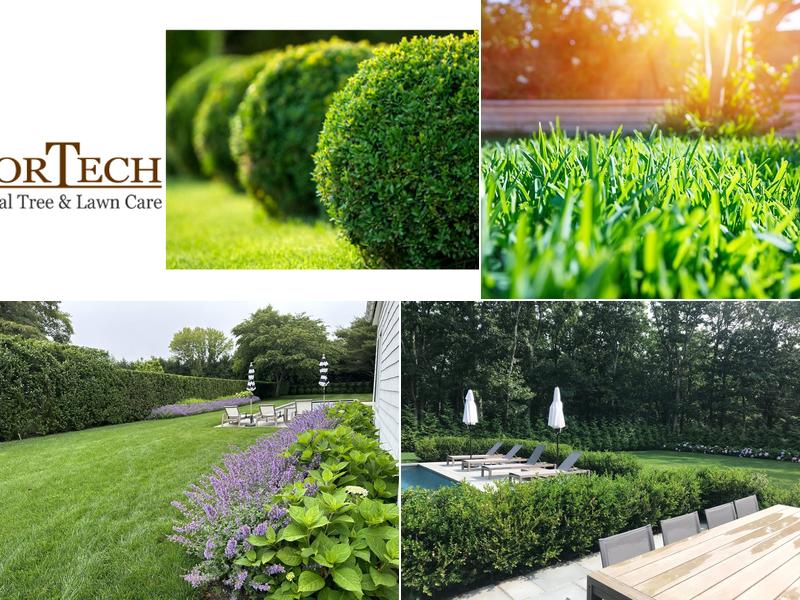 Arbortech Lawn & Tree Care West