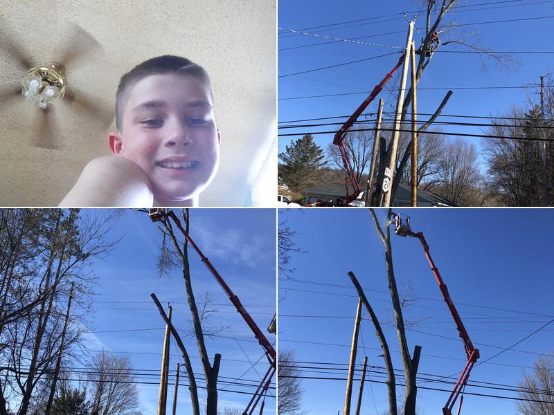 M & M Tree Lawn & Landscp Llc