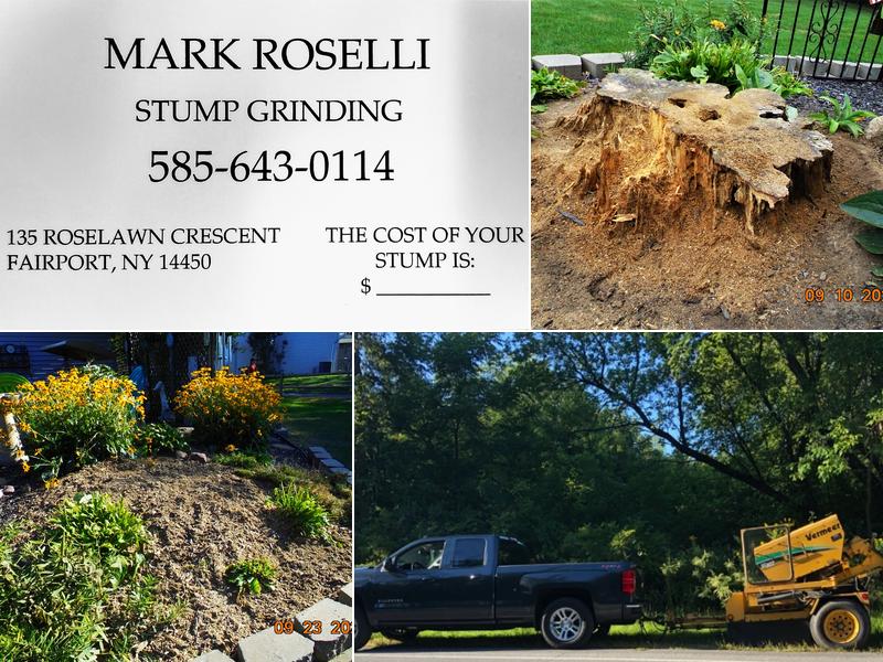 Mark's Stump Grinding
