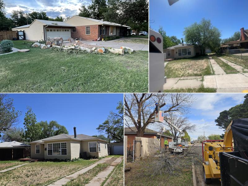 Caprock Tree Removal