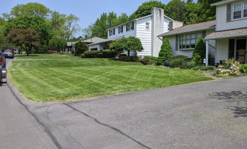 Monster Lawn Care Plus