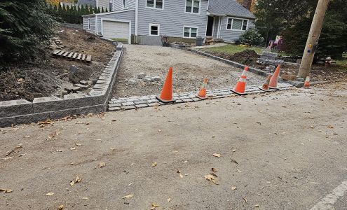 Portillo tree service