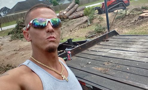 Alpha tree service 1848 Elliot Farm Rd, Fayetteville North Carolina 28311