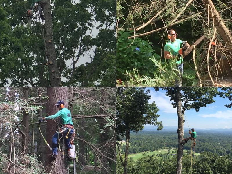 Kilpatrick Tree Service