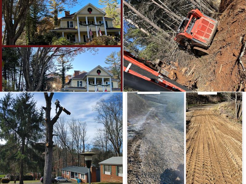 Webster's tree service Fletcher