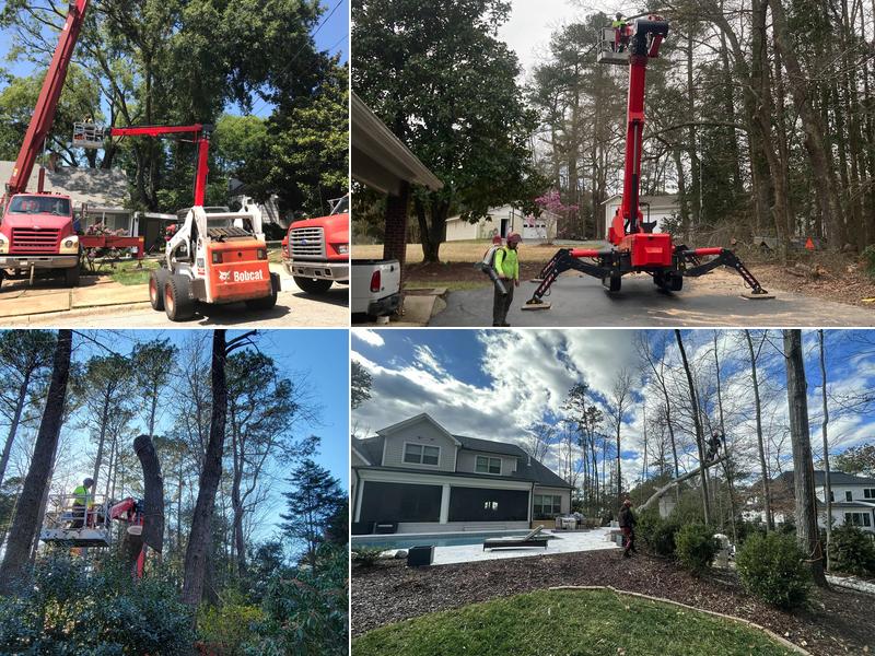 Raleigh Tree Service
