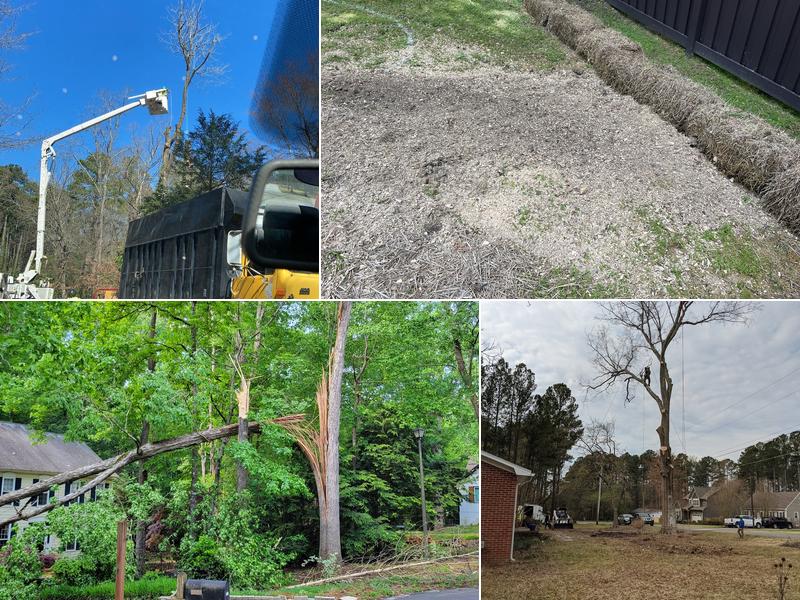 Triangle Tree Pros - Raleigh Tree Service