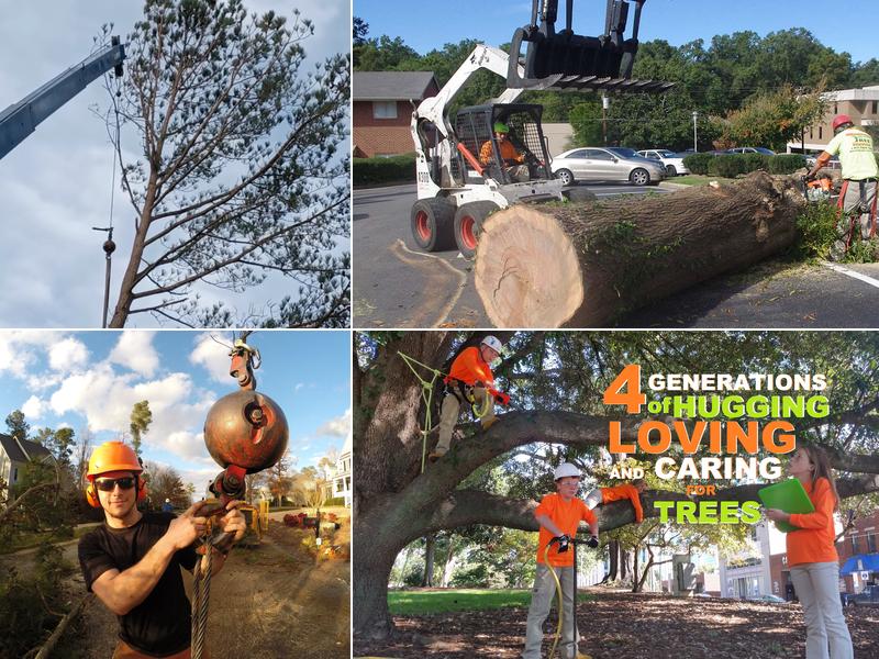 ArborMax Tree Service