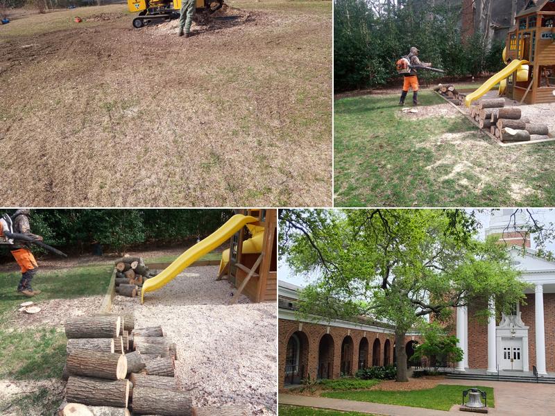 Ashland Tree Service