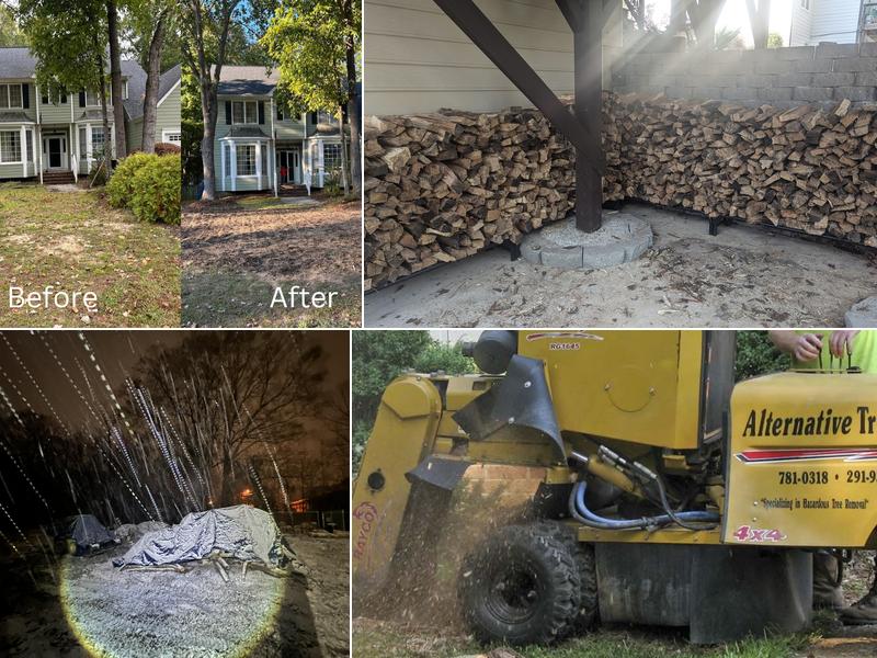 Alternative Tree Removal