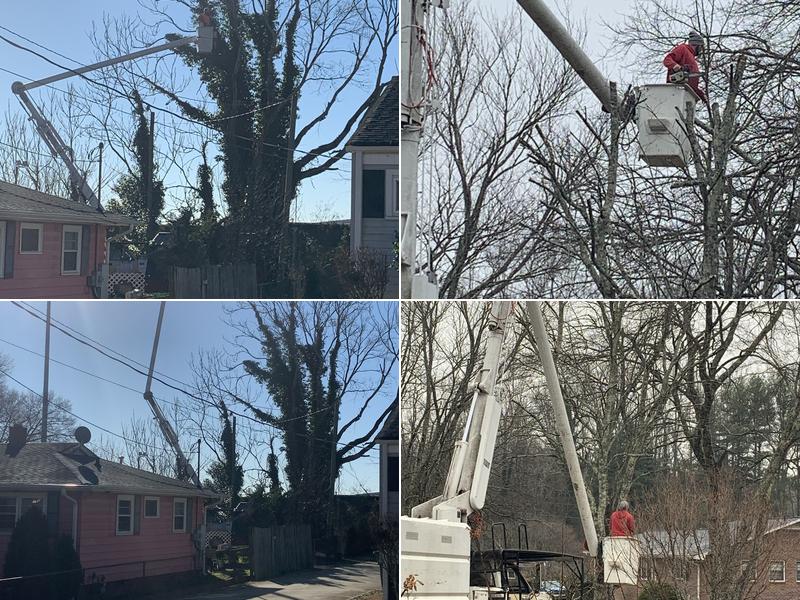 Turner And Son Tree Service