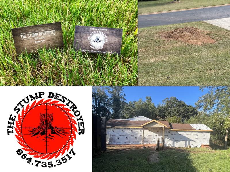 The Stump Destroyer