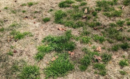 Prolawn 4425 Forest Dr, Holly Springs North Carolina 27540