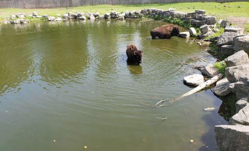 Rebuilding Together Fox Valley