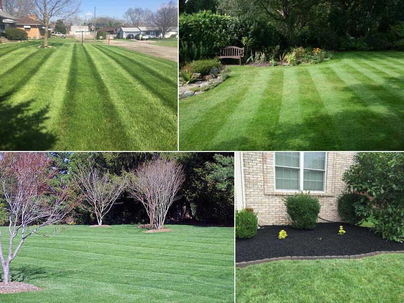 Paragon Lawn Care